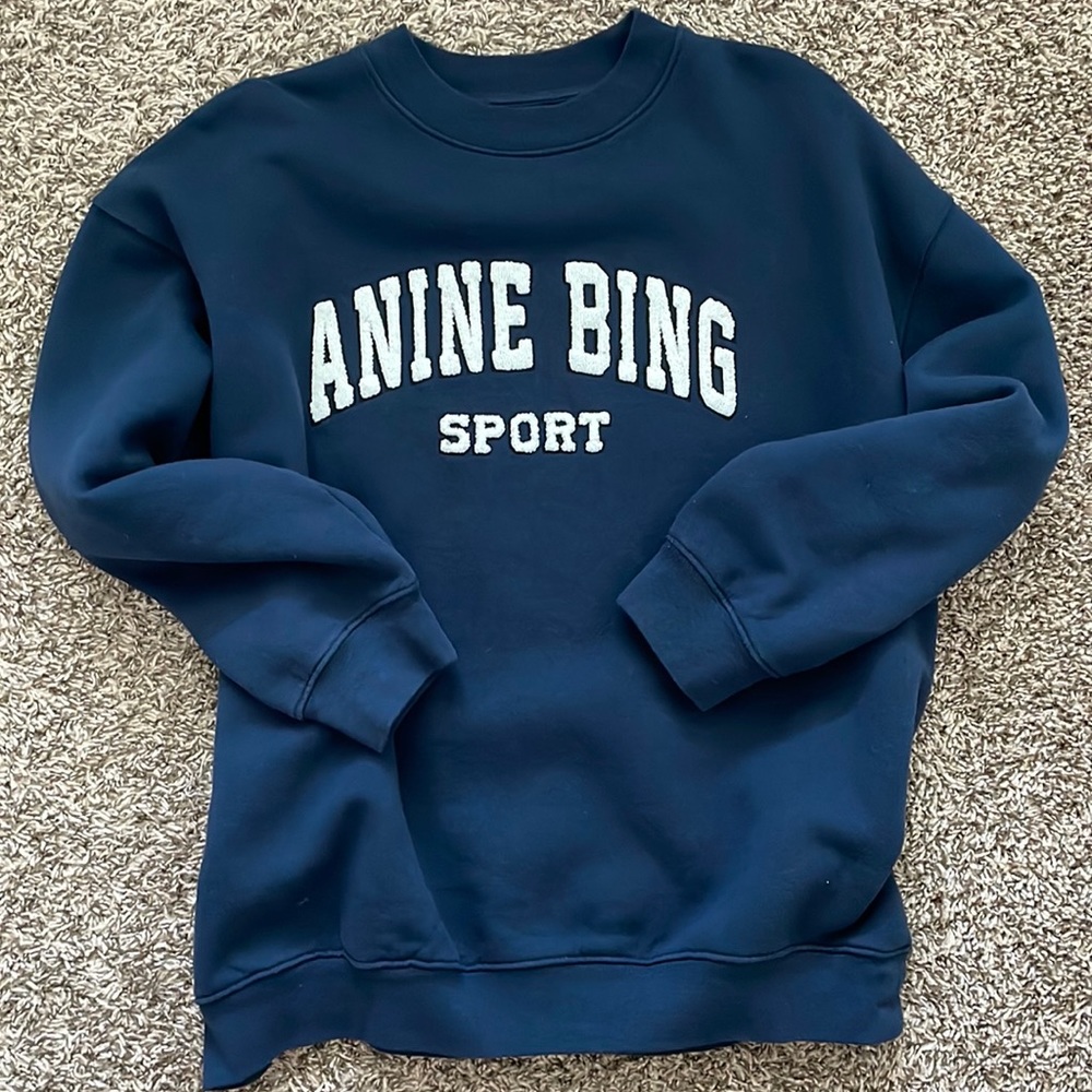 Anine Bing tyler sweatshirt